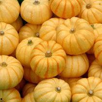 山地桔瓜怎么吃,探索美味与营养的完美结合