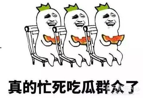 恋吃瓜群众