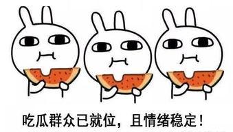 吃瓜嘴硬全文阅读,揭秘娱乐圈背后的真相与内幕