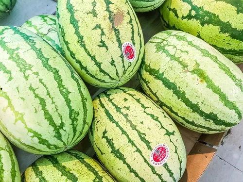 蠡县吃瓜视频火了,网络现象背后的社会文化解读