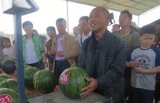 金昌的吃瓜群众,揭秘当地美食风云录