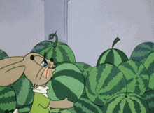 带你吃瓜买瓜图片