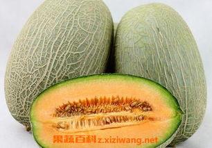 吃哈密瓜嗓子不舒服怎么回事,哈密瓜引发嗓子不适的原因解析