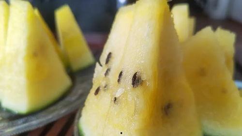 吃瓜带密码,揭秘网络热词背后的文化密码