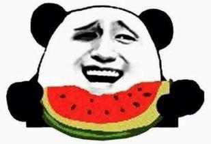 saku吃瓜群众,吃瓜群众的视角，揭秘娱乐圈风云
